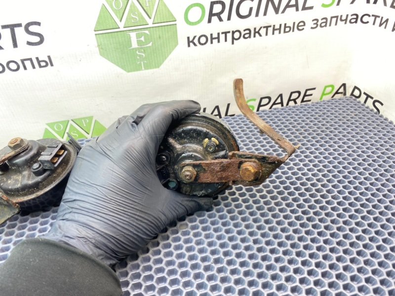 Звуковой сигнал, 1600 рублей, Калининград