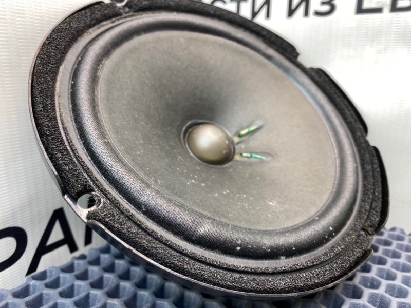 Динамик, 1600 рублей, Калининград