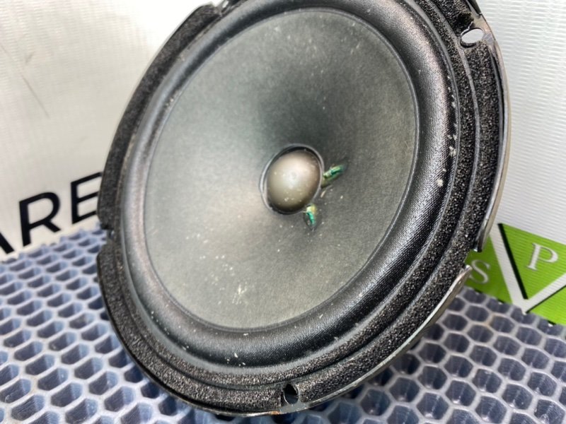 Динамик, 1600 рублей, Калининград