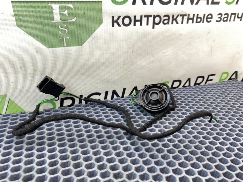 Твитер, 800 рублей, Калининград