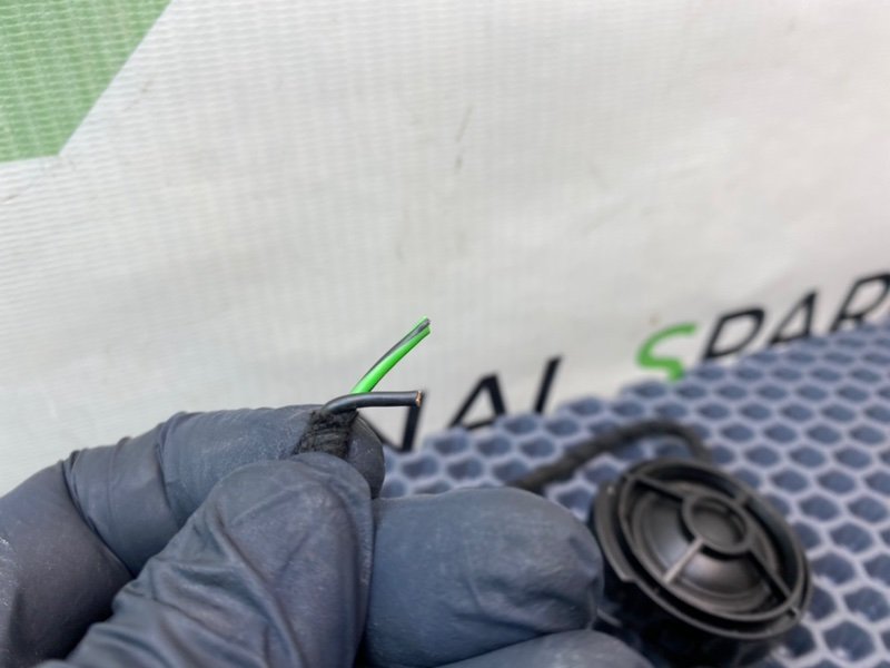 Твитер, 800 рублей, Калининград