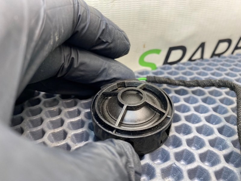 Твитер, 800 рублей, Калининград