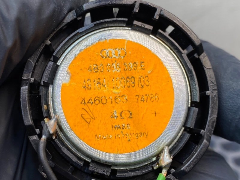 Твитер, 800 рублей, Калининград