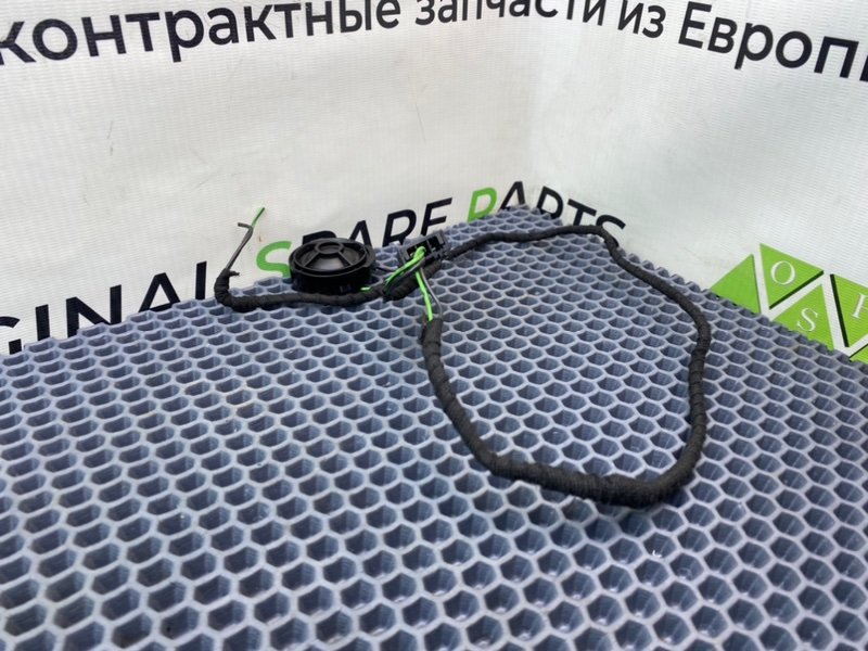 Твитер, 800 рублей, Калининград