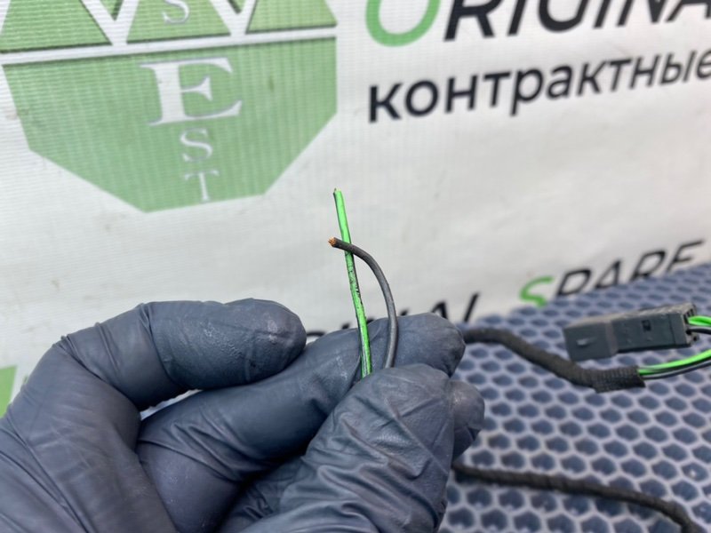 Твитер, 800 рублей, Калининград