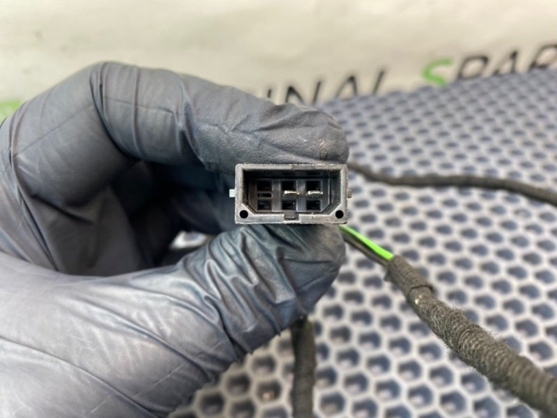 Твитер, 800 рублей, Калининград