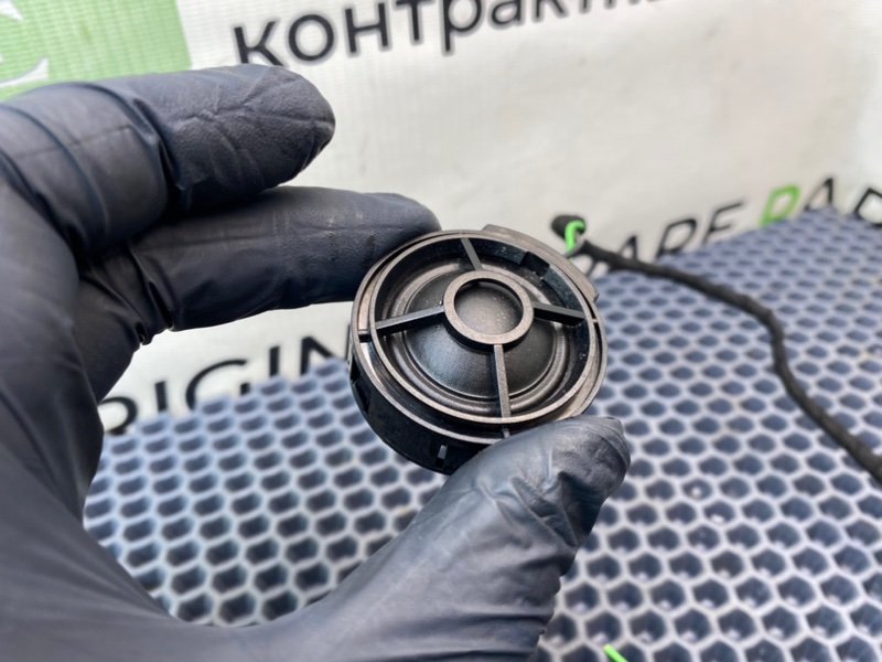 Твитер, 800 рублей, Калининград