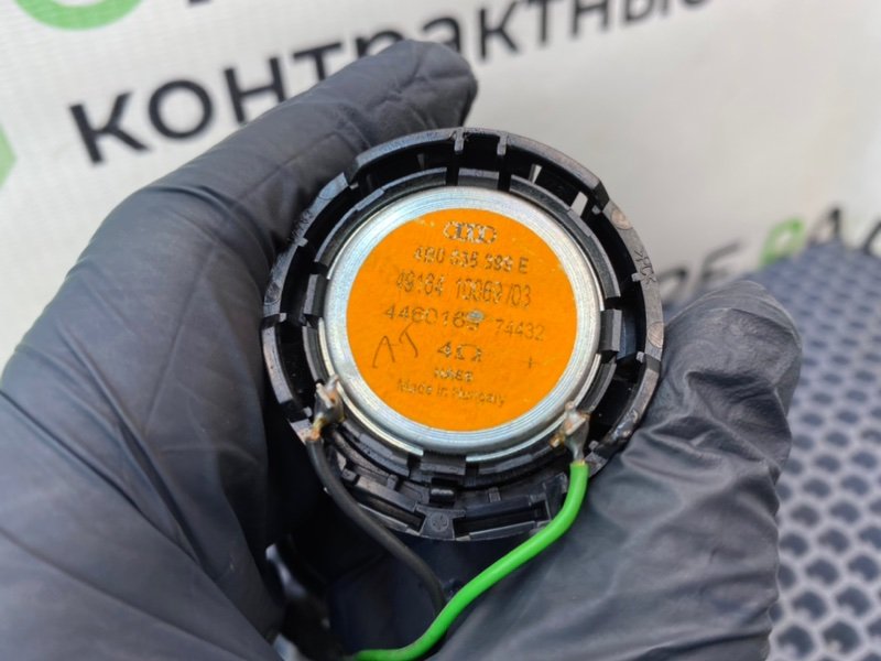 Твитер, 800 рублей, Калининград