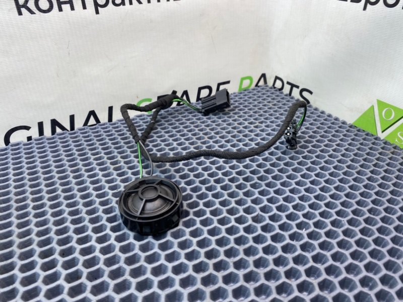 Твитер, 900 рублей, Калининград