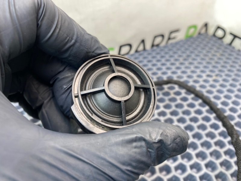 Твитер, 900 рублей, Калининград