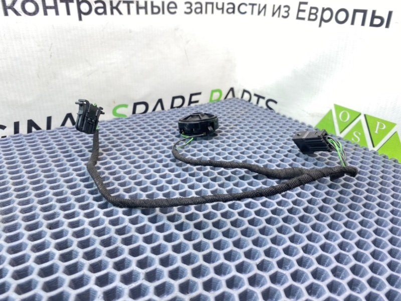 Твитер, 900 рублей, Калининград