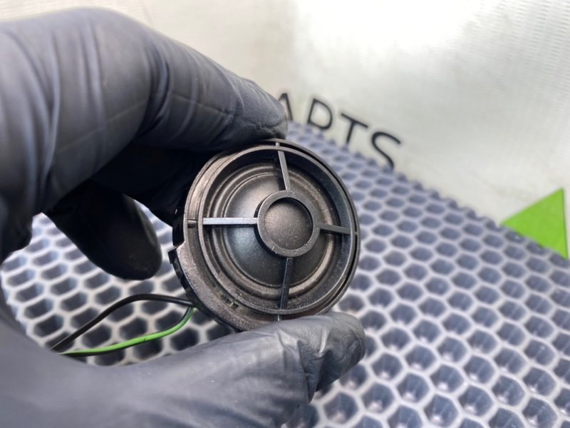 Твитер, 900 рублей, Калининград