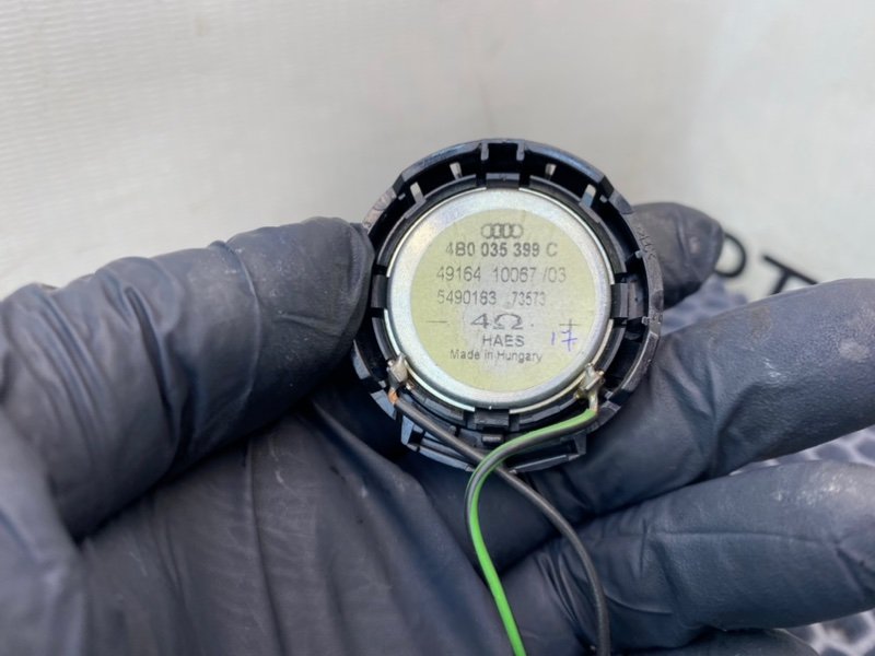 Твитер, 900 рублей, Калининград