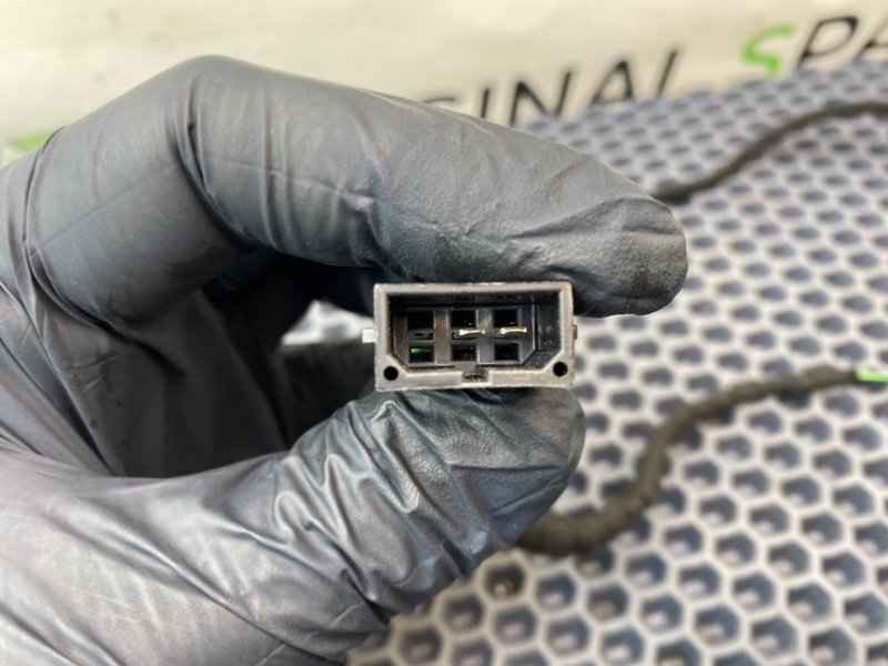 Твитер, 900 рублей, Калининград