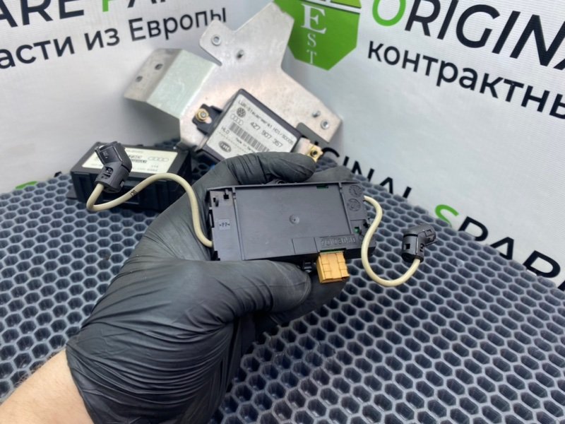 Блоки, 1000 рублей, Калининград