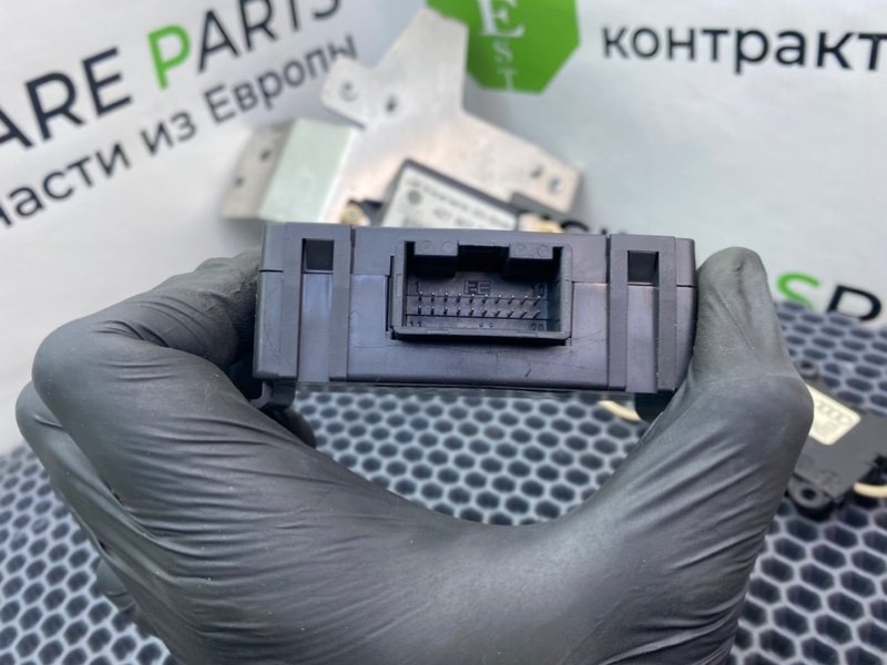 Блоки, 1000 рублей, Калининград