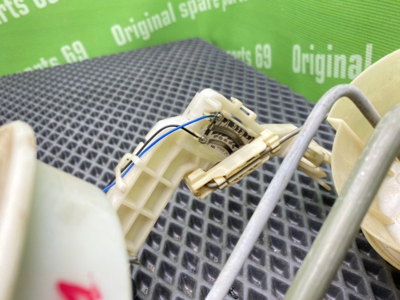 Дут, 2800 рублей, Тверь