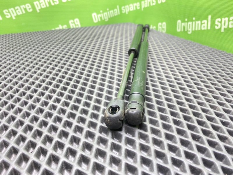 Амортизаторы багажника, 900 рублей, Тверь