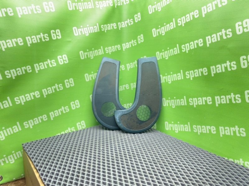 Сетки динамиков, 1000 рублей, Тверь