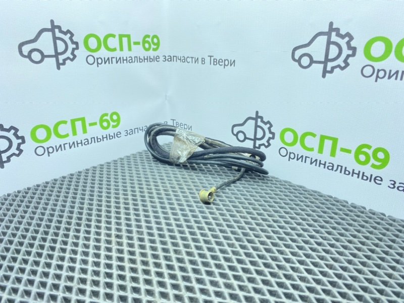 Проводка, 1000 рублей, Тверь