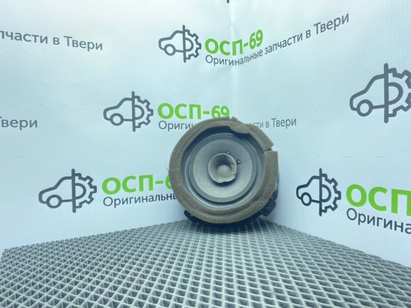 Динамик, 1000 рублей, Тверь