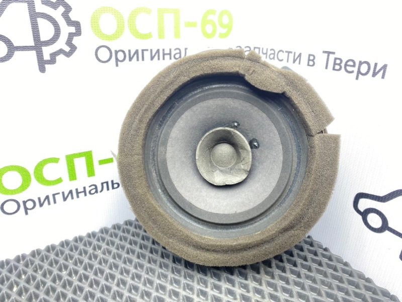 Динамик, 1000 рублей, Тверь