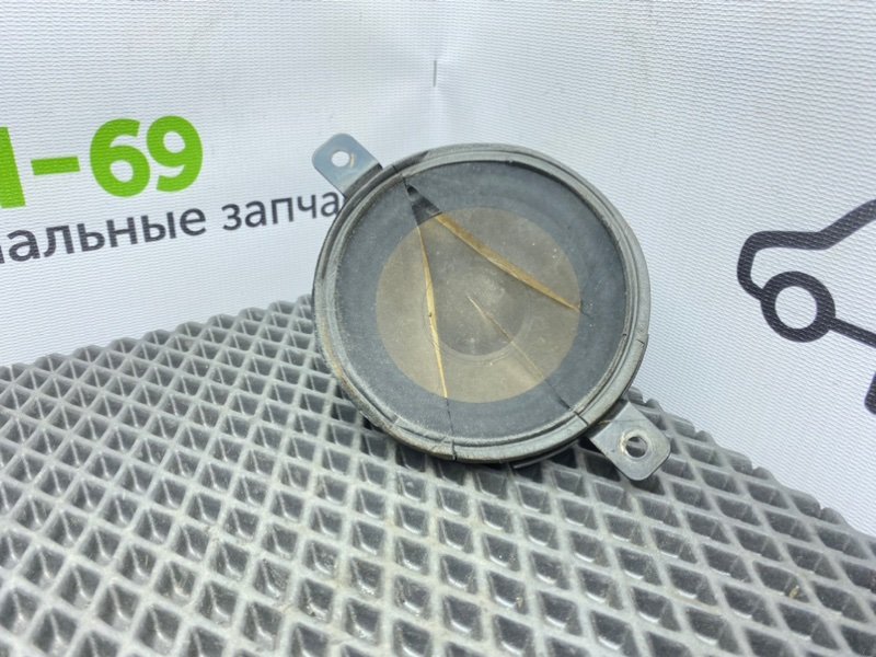 Динамик, 1000 рублей, Тверь