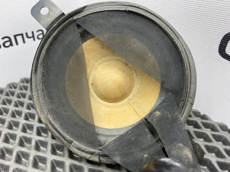 Динамик, 1000 рублей, Тверь