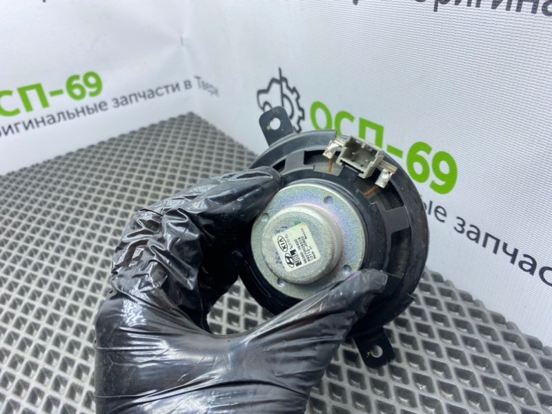 Динамик, 1000 рублей, Тверь