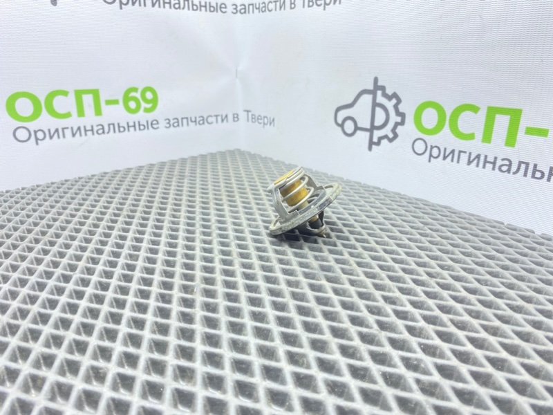 Термостат, 700 рублей, Тверь