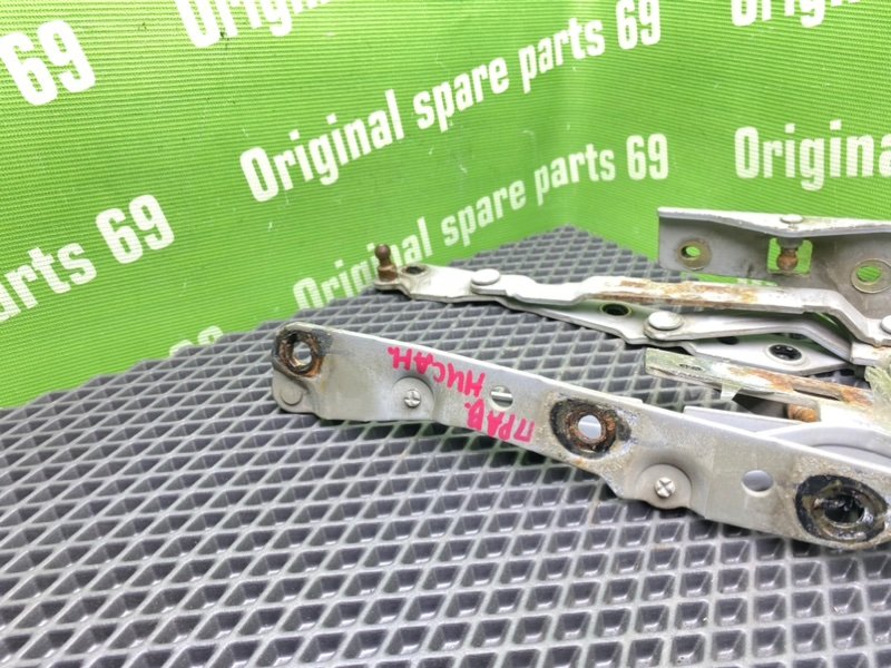 Петли багажника, 1000 рублей, Тверь