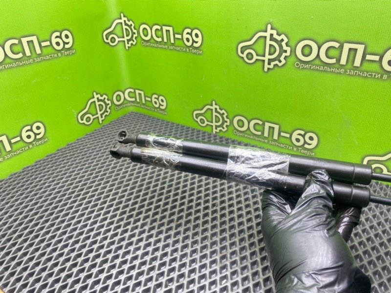 Амортизаторы багажника, 1790 рублей, Тверь