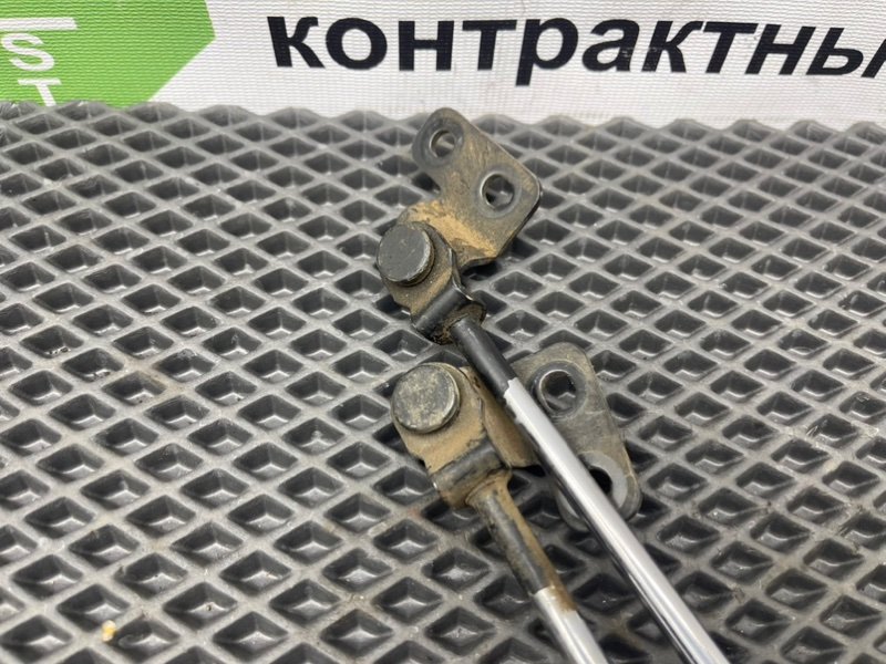 Амортизаторы багажника, 1290 рублей, Тверь