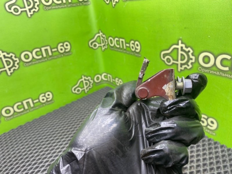 Петли багажника, 1790 рублей, Тверь