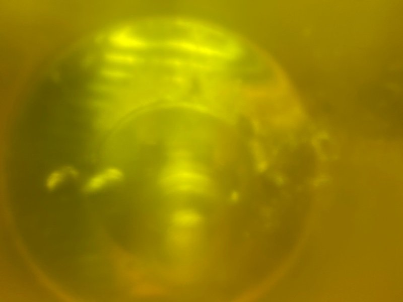 Птф, 1190 рублей, Тверь