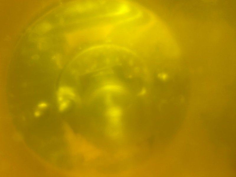 Птф, 1990 рублей, Тверь