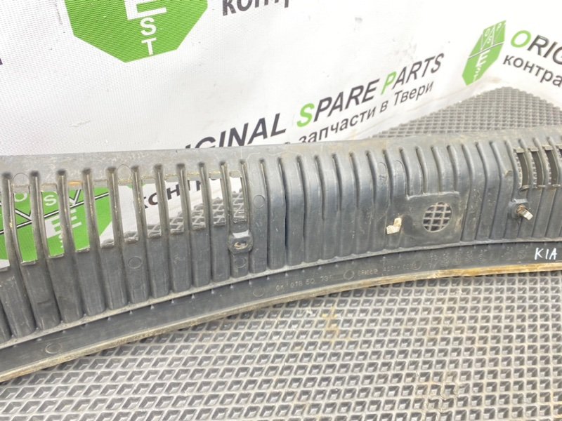 Жабо, 1090 рублей, Тверь