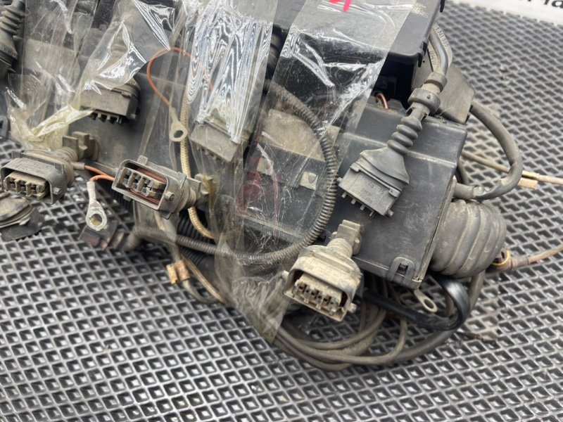 Коса мотора, 4490 рублей, Тверь