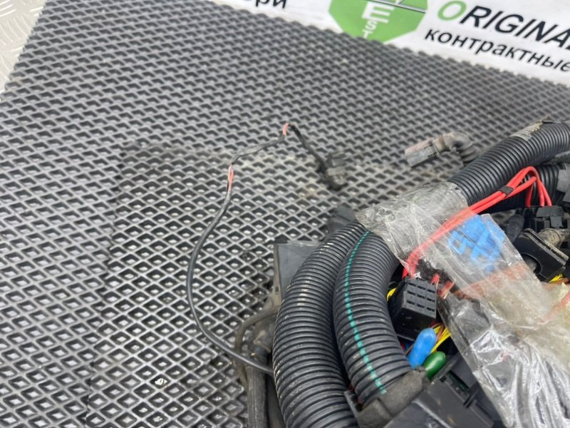 Коса мотора, 4490 рублей, Тверь