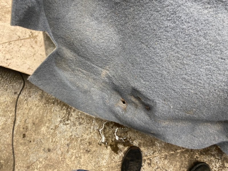 Ковер пола, 1990 рублей, Тверь