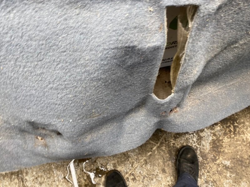 Ковер пола, 1990 рублей, Тверь