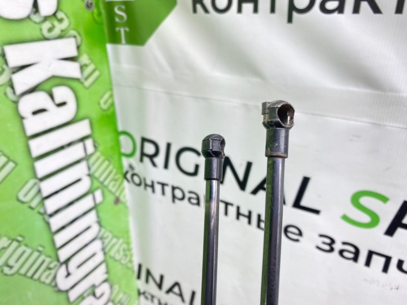 Амортизаторы багажника, 990 рублей, Калининград