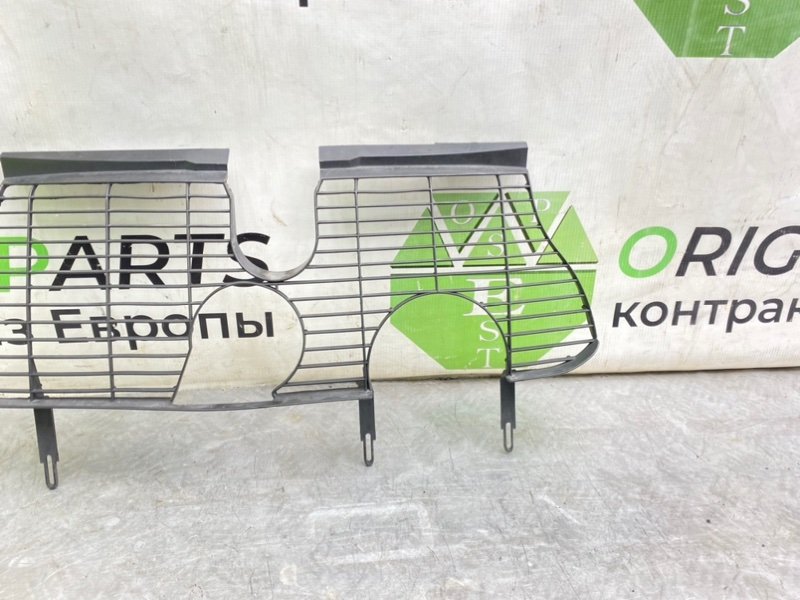 Защита, 2990 рублей, Калининград