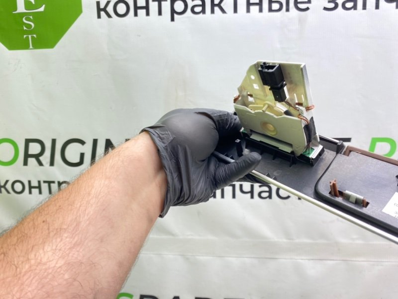 Дерево торпеды, 1090 рублей, Калининград