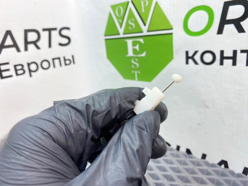 Дерево торпеды, 1090 рублей, Калининград