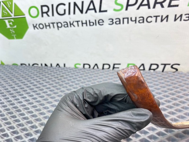 Дерево, 790 рублей, Калининград