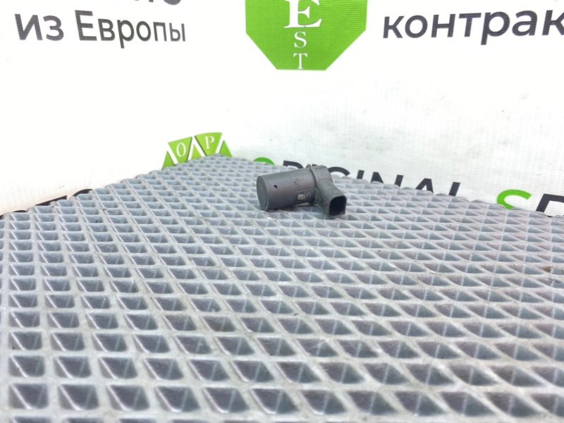 Парктроник, 1090 рублей, Калининград