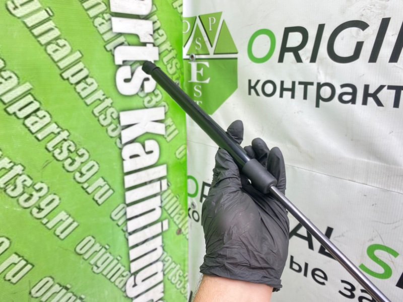 Амортизатор капота, 790 рублей, Калининград