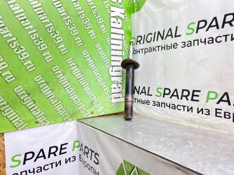 Амортизатор, 2490 рублей, Калининград