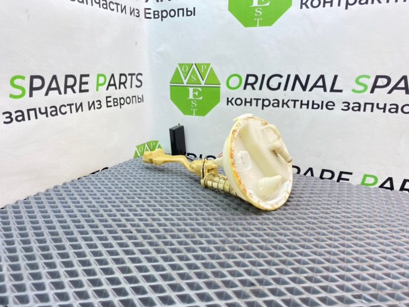 Дут, 1290 рублей, Калининград